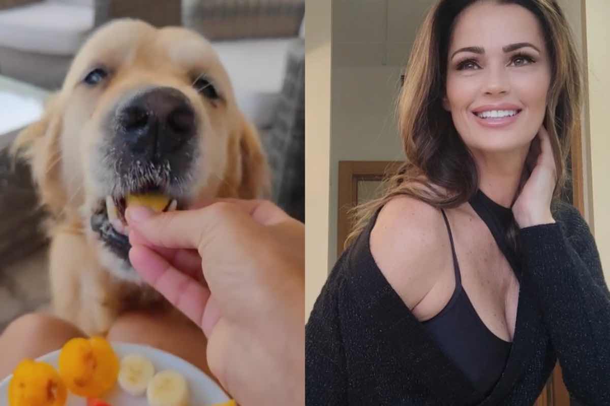 Samantha de grenet cane colazione video