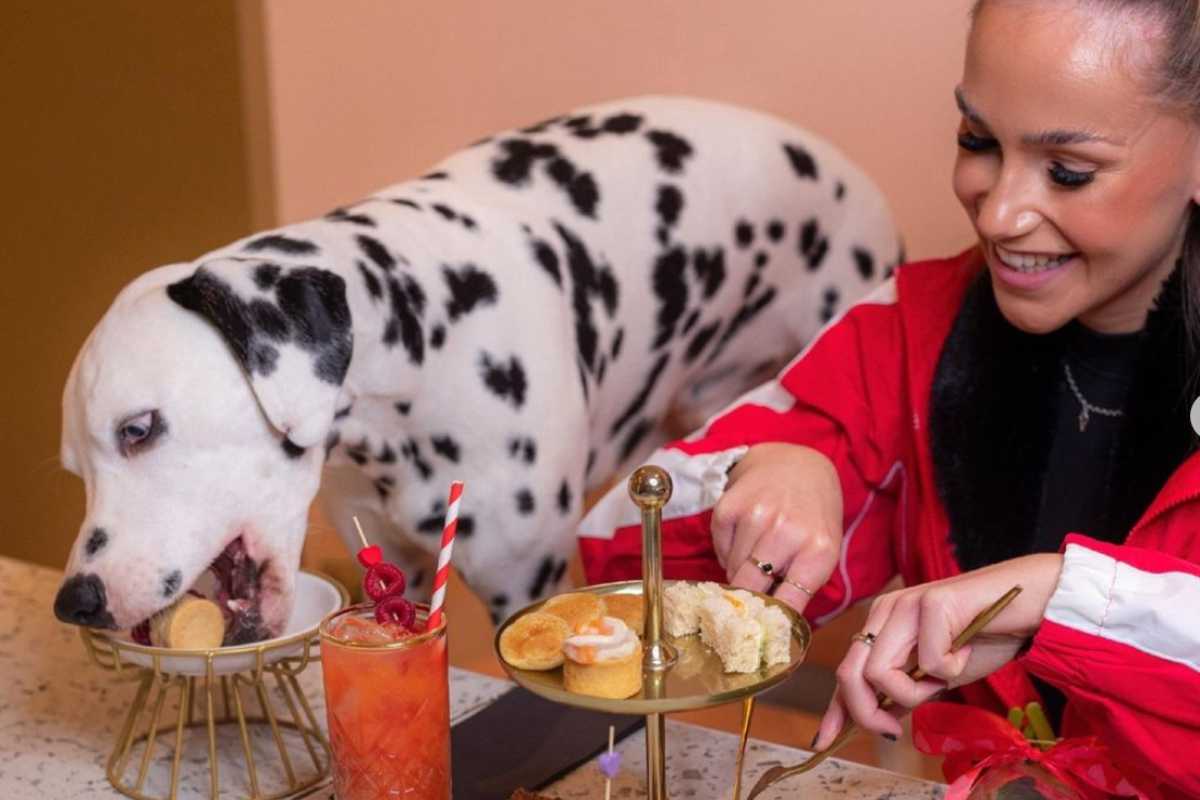 a londra esiste un dog cafè dove c'è un menù apposito per i cani