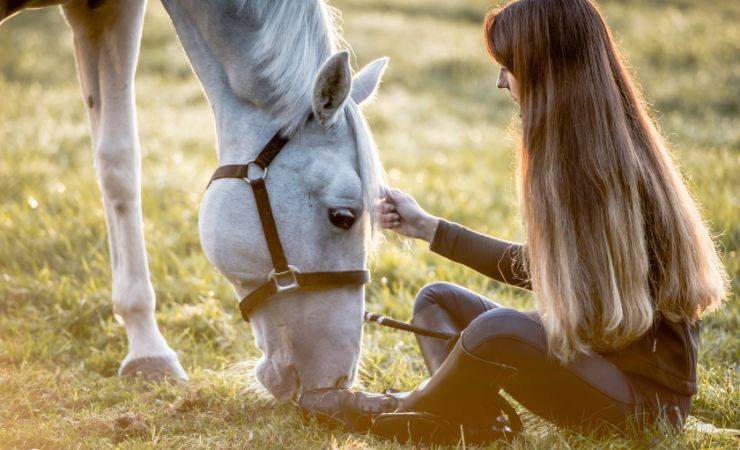 donna cavallo personalità