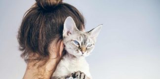 Gatti: i comportamenti umani che detestano