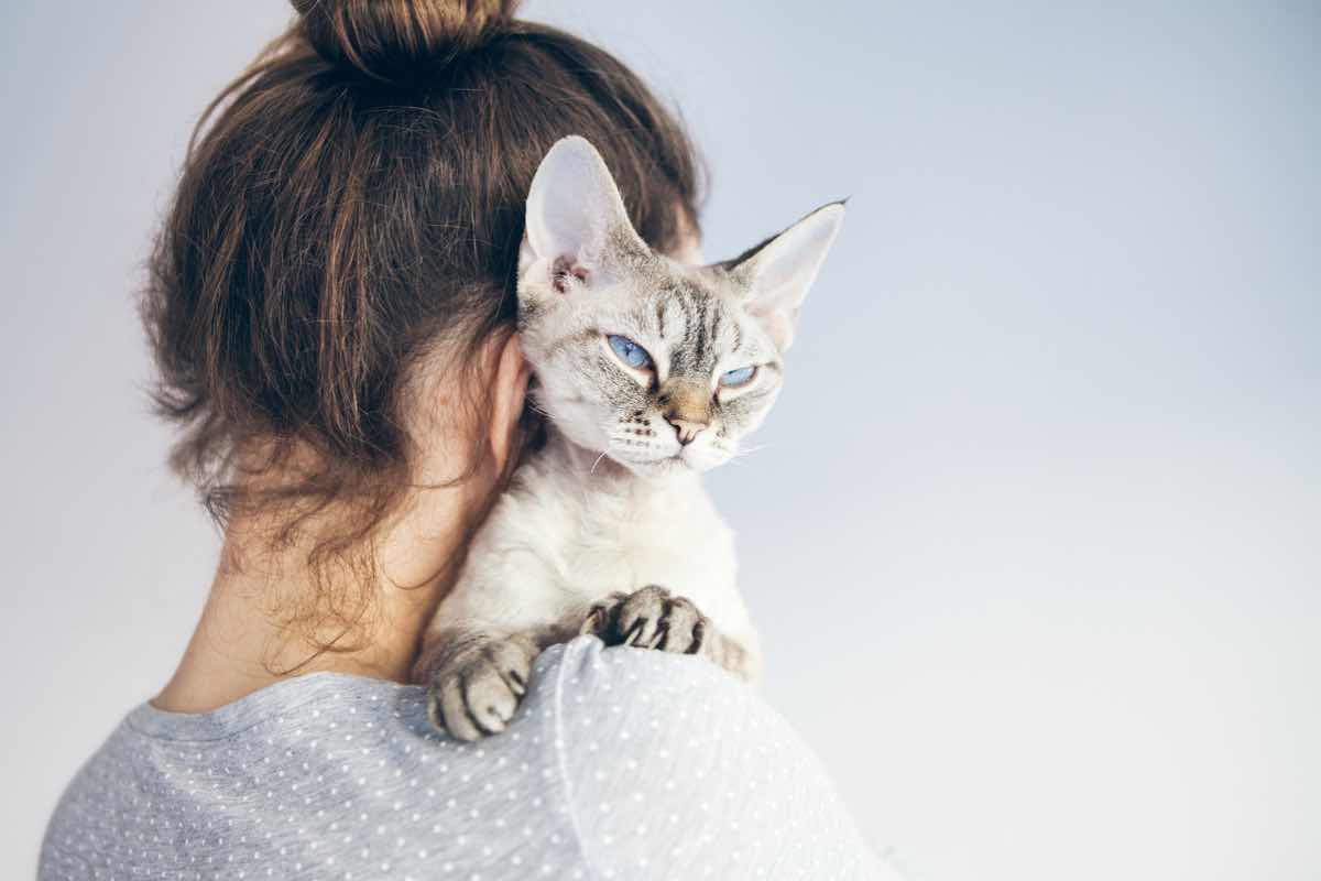 Comportamenti umani che i gatti detestano: se vuoi andare d’accordo col tuo felino, queste sono le abitudini da eliminare 