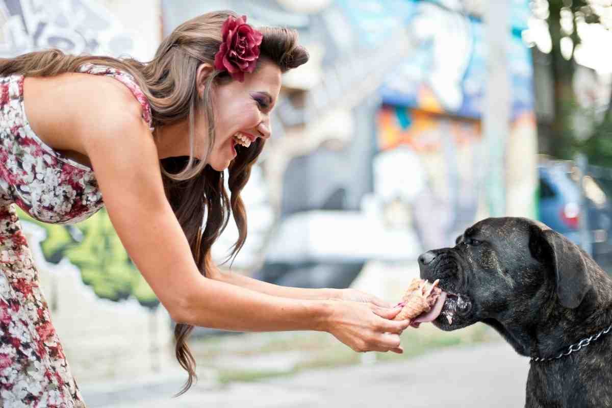 Gelato per cani ricette