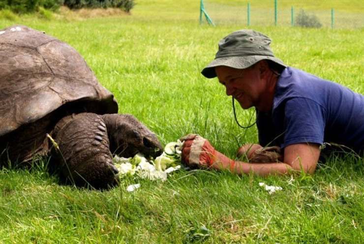 l'animale più vecchio del mondo ha 191 anni