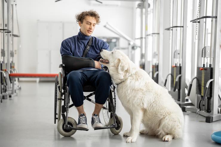 Pet therapy: come funziona in ambito ospedaliero