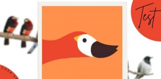 test quale animale vedi personalità