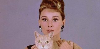Audrey Hepburn e il gatto Orangey in Colazione da Tiffany