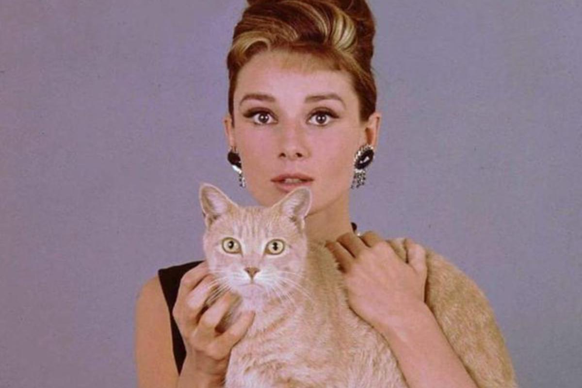 Audrey Hepburn e il gatto Orangey in Colazione da Tiffany