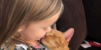 Bailey e la bambina gatto sta per morire storia