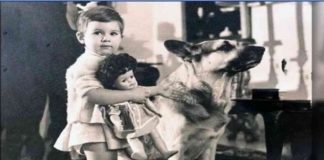 Cane e bambina bianca berlinguer foto