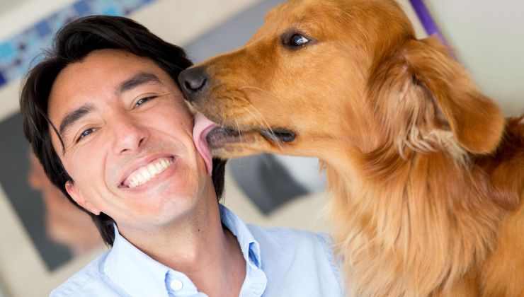 Cani felici di rivedere il padrone