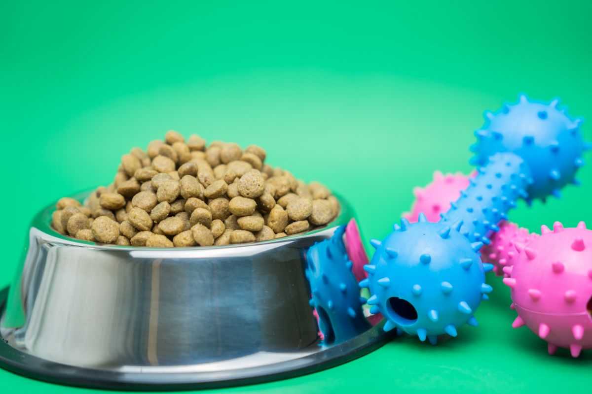 cibo per cani e gatti scaricabile tasse