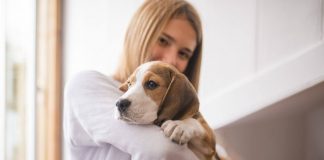 Cucciolo come chiede coccole video