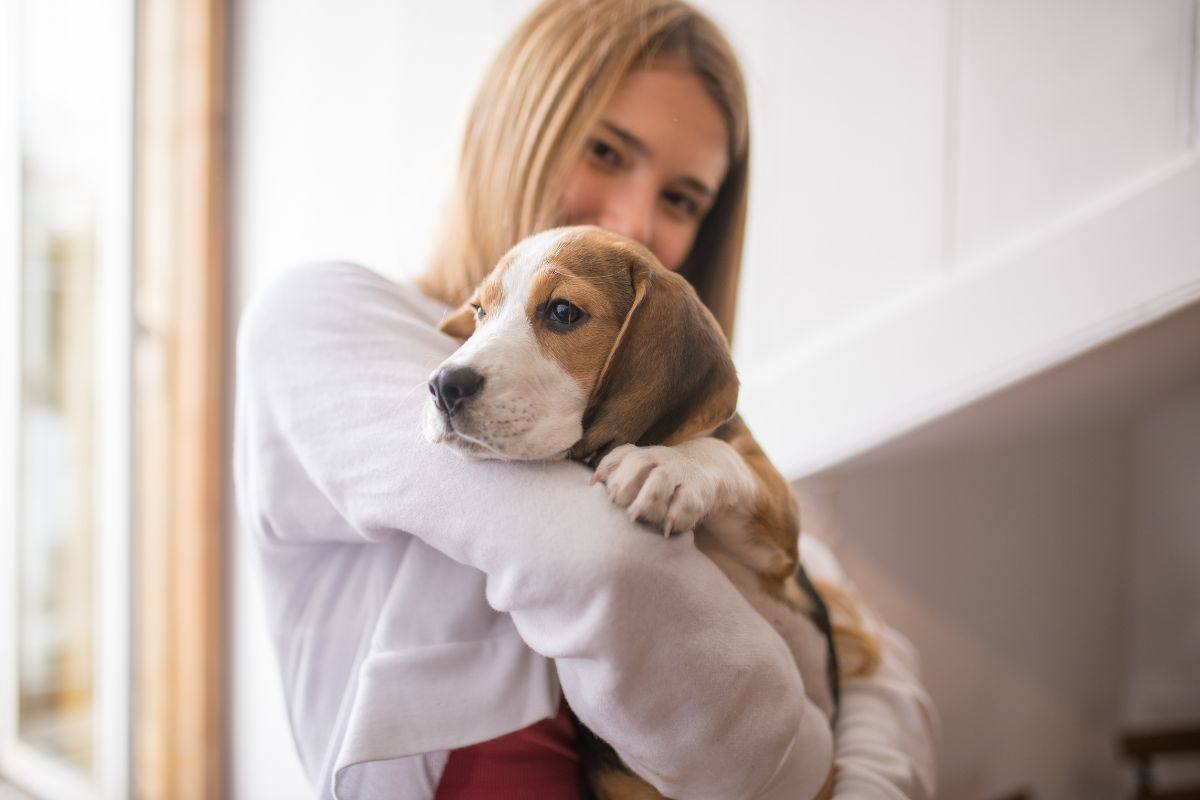 Cucciolo come chiede coccole video