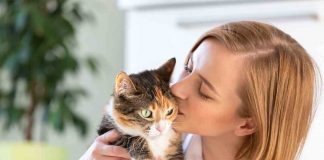 i gatti preferiscono le donne ricerca scientifica ragioni
