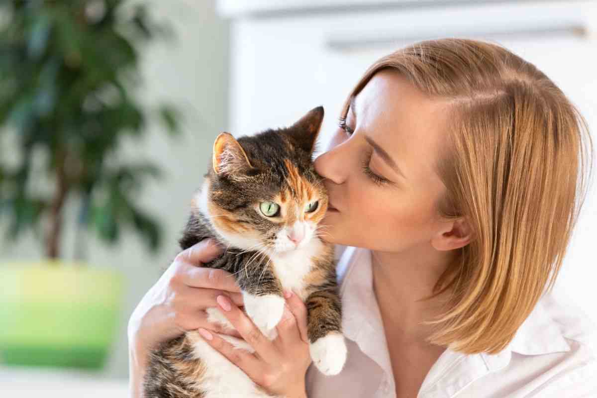 i gatti preferiscono le donne ricerca scientifica ragioni