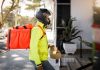 Fattorino Delivery cane incontro