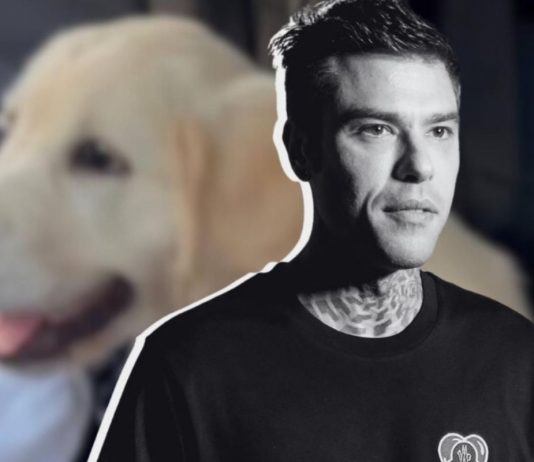Fedez e Paloma lotta cane Ferragnez video