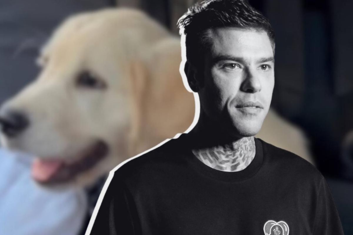 Fedez e Paloma lotta cane Ferragnez video