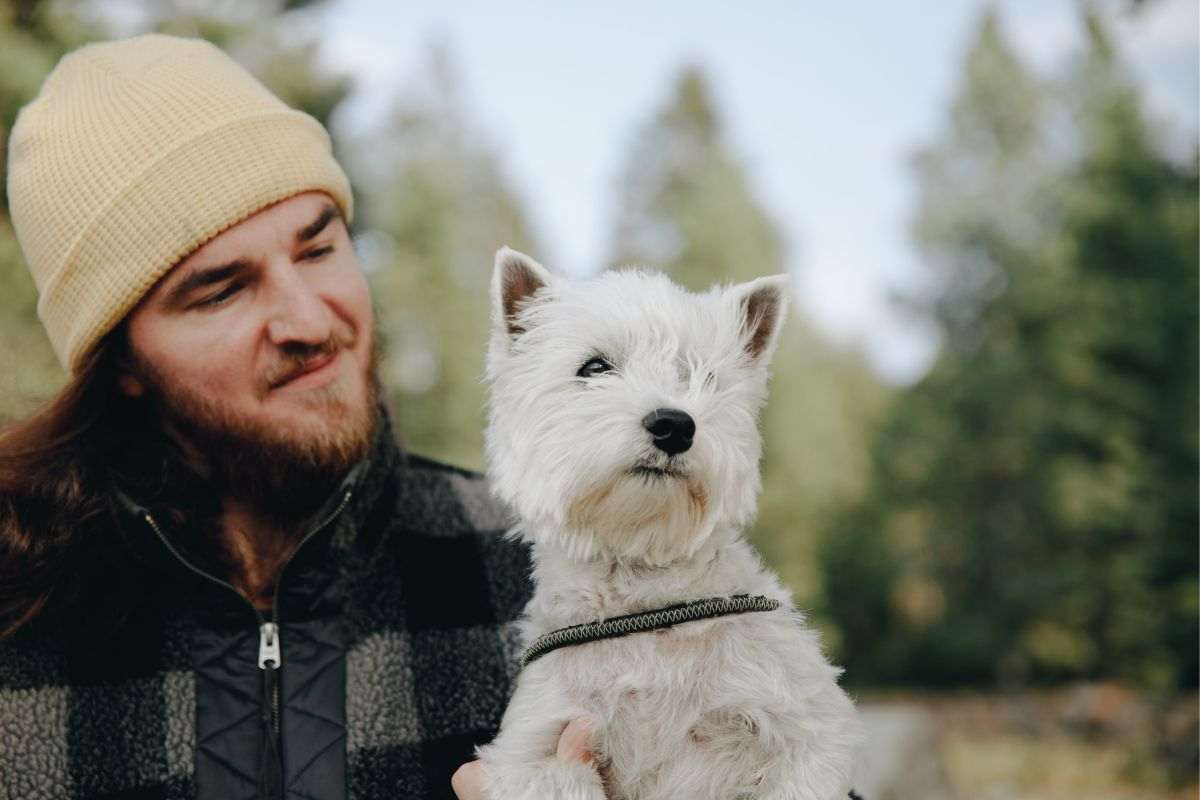 Cani hanno umani preferiti