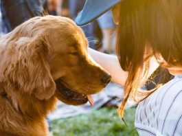 Perché il cane lecca viso mani e piedi del padrone