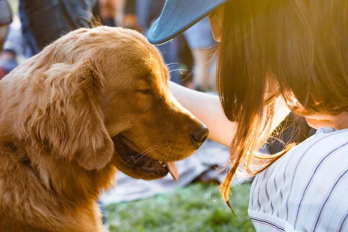 Il cane lecca viso mani e piedi