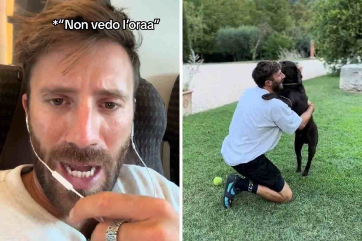 Nicolò De Devitiis Incontro con il cane Dotto