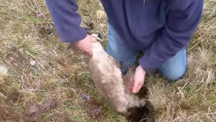 salvataggio dal terreno