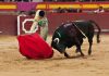 torero tristezza