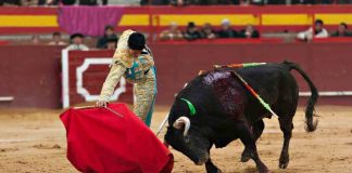 torero tristezza