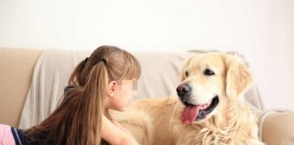 bambina e il suo cagnolone