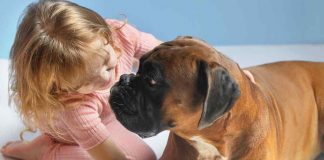 bambini e cani legame indissolubile video