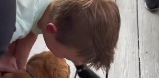 gioia cucciolo bimbo