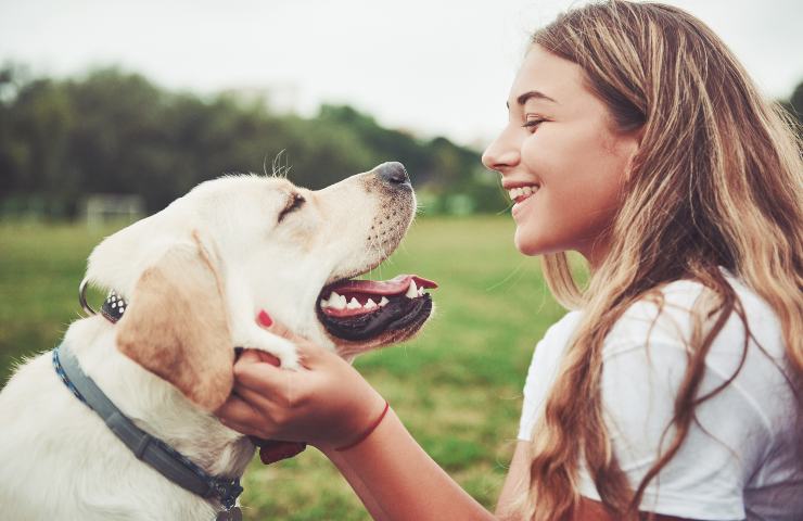 bonus animali domestici come si richiede