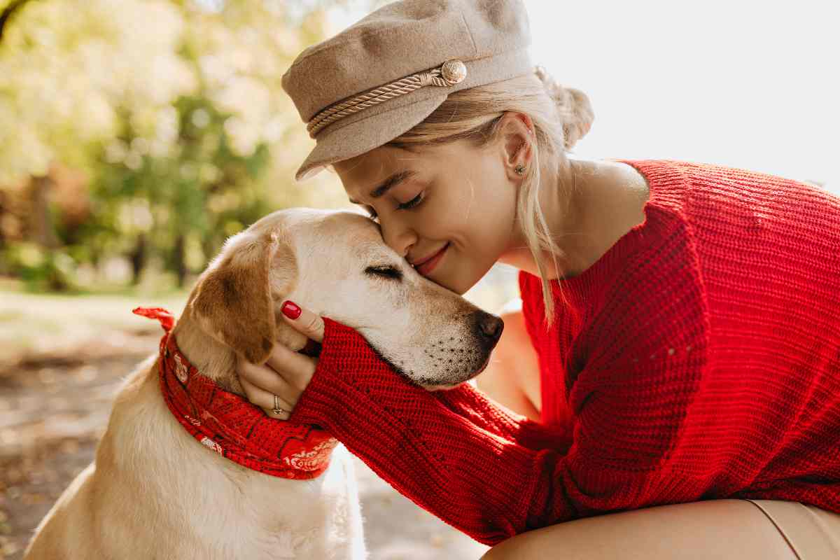 Come intervenire sulla paura del cane