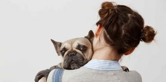 Il tuo cane è arrabbiato motivi segnali