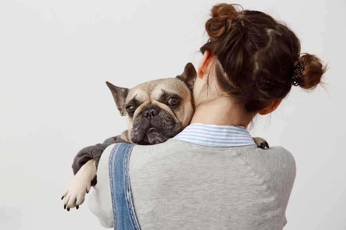 Il tuo cane è arrabbiato motivi segnali