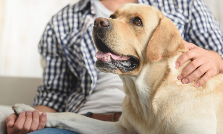 cane affamato attore video divertente cibo