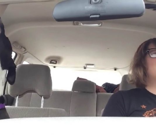 cane canta canzoni di Michael Jackson