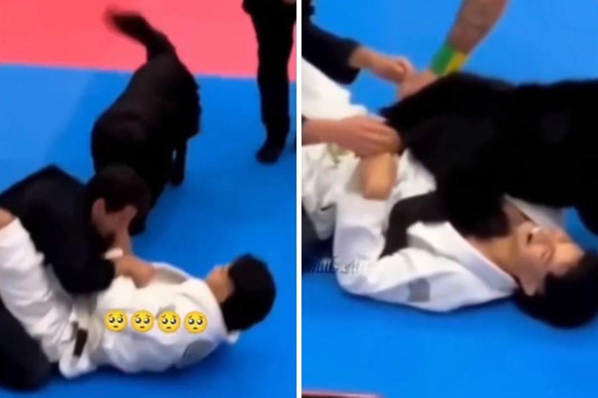 cane incontro di karate padrone video