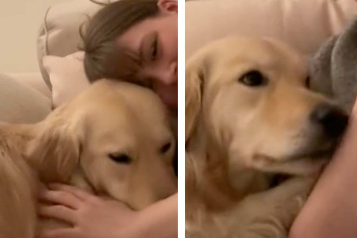 Il cane consola la ragazza
