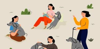 Dog sitter caratteristiche e tariffe
