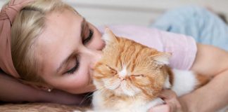 Perché i gatti ci dormono addosso