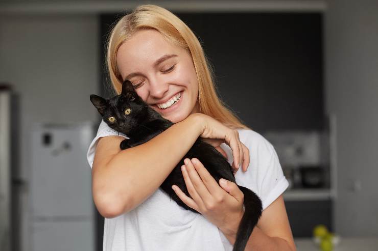 gatto affetto coccole