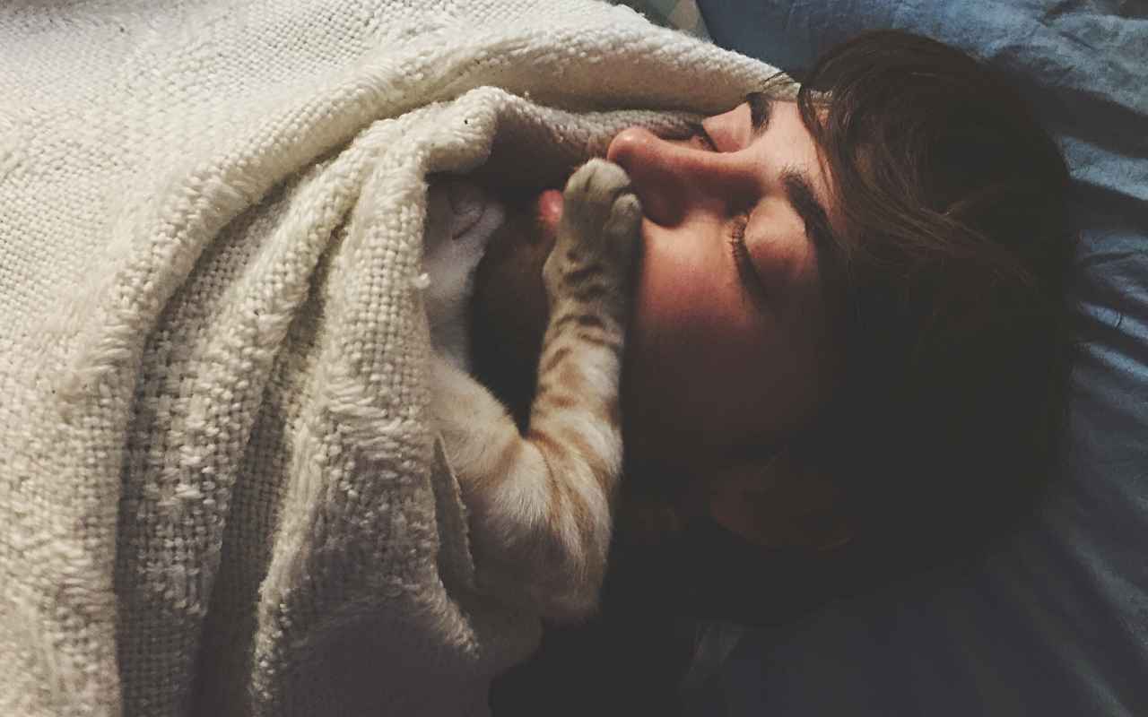 Gatto sceglie con chi dormire
