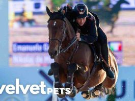 longines global champions tour Gaudiano verso le Olimpiadi