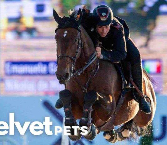 longines global champions tour Gaudiano verso le Olimpiadi
