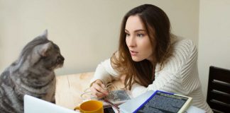 parlare al gatto con le strategie migliori