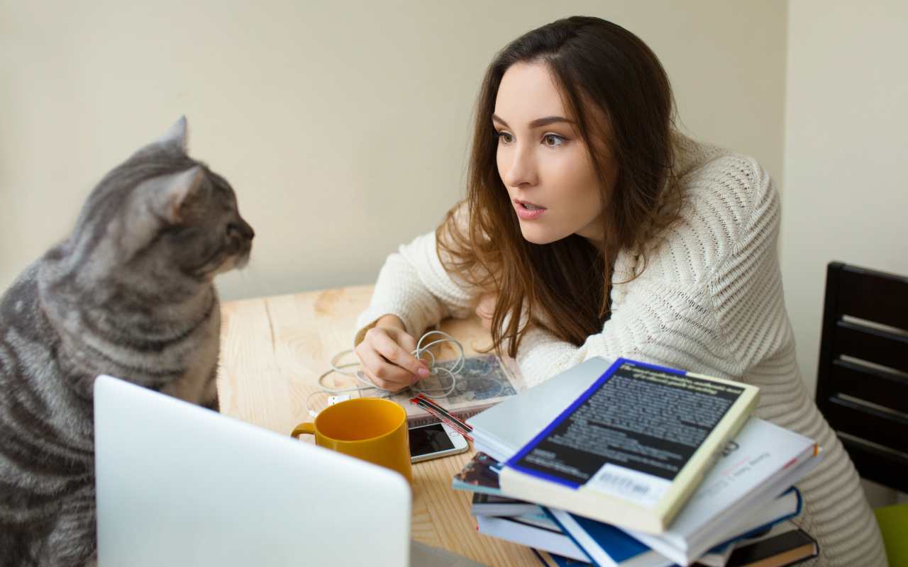 Parlare al gatto: le strategie migliori  --- (Fonte immagine: https://www.velvetpets.it/wp-content/uploads/2023/09/parlare-al-gatto.jpg)