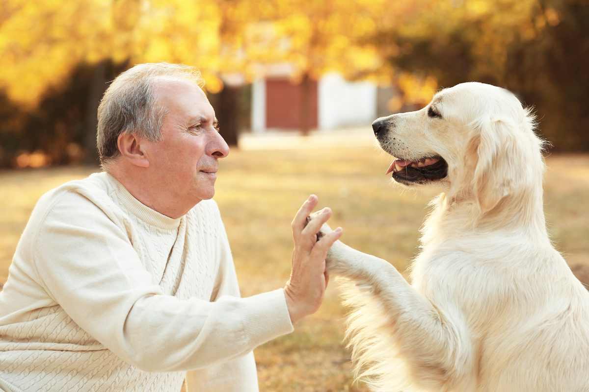 Cane e uomo over 65