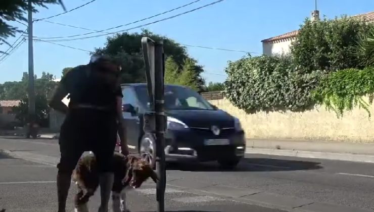 Fa finta di abbandonare il cane